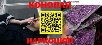 a pvp Ачхой-Мартан