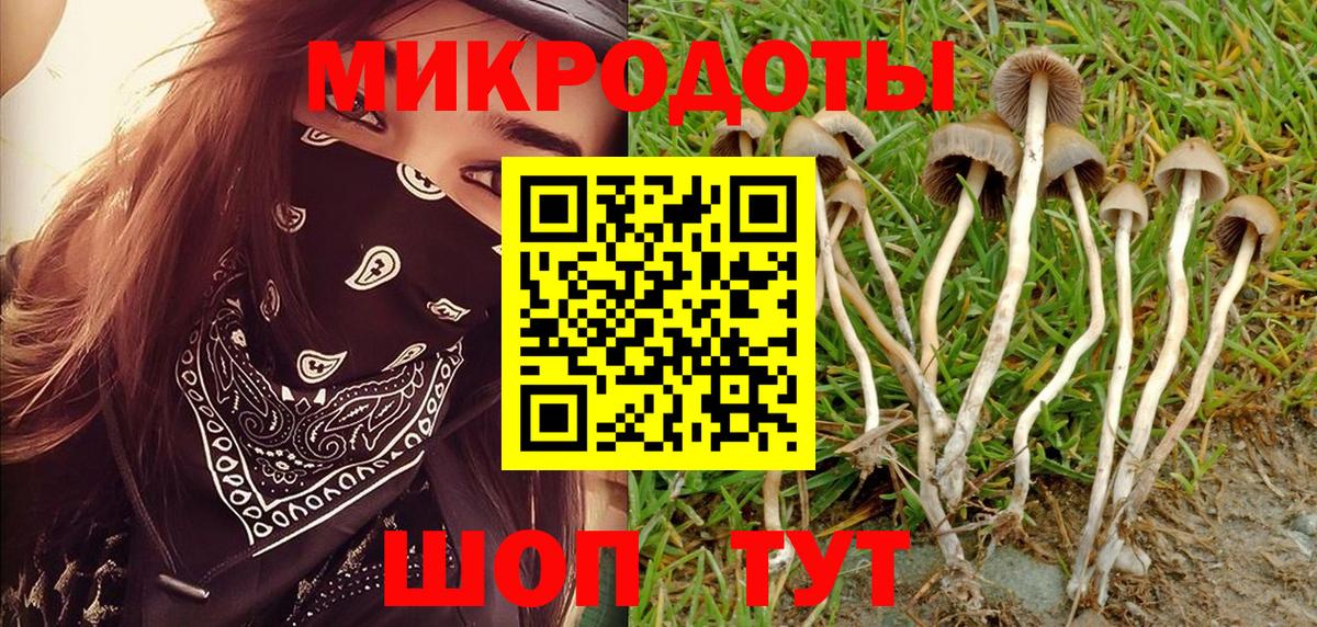 Галлюциногенные грибы MAGIC MUSHROOMS Гусь-Хрустальный